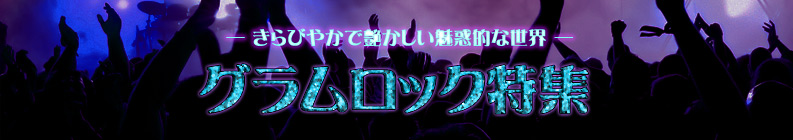 ����Ӥ䤫�Ǳ𤫤���̥��Ū���������������å��ý���
