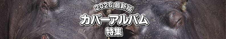 2026 �ǿ��ǡ����С�����Х��ý�