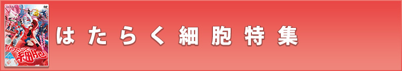 �Ϥ��餯��˦�ý�